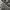 Adidas Dropset 2 Trainer photo 7