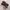 Nike Kyrie Flaytrap 2 EP photo 1