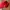 47 Brand Casual Sportswear Hat Pria red photo 2