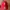 47 Brand Casual Sportswear Hat Pria red photo 1