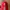 47 Brand Casual Sportswear Hat Pria Red