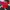 Vintage jersey Bayern Munich second photo 1