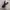 Nike Zoom Span 3 photo 1