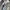 Montbell Gorpcore Sportswear Windbreaker Pria black gray photo 8