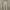 Uniqlo Pants in White photo 1