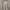 Uniqlo Pants In White