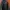 Harley Davidson Leather Jacket photo 1