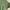 Dress green  photo 4