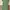 Dress green  photo 3