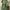 Dress green  photo 2