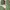 Dress green  photo 1
