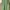 Dress green  photo 5