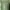 Dress green  photo 6