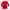 ZARA Red Long Sleeve
