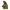 POLO SPORT MILITARY JACKET photo 3