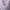 Hoodie anak purple  photo 2