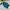 Long jacket winter goose down anak curlysue emeral cakep photo 4