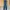 High Waist Jeans Semi Flare/straight Regular Fit Dark Blue