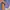 Adidas Terrex Goretex Paclite photo 4