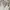 Spaghetti Strap Off Shoulder Ruched Long Sleeve Mini Dress photo 3