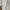 Spaghetti Strap Off Shoulder Ruched Long Sleeve Mini Dress photo 2