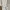 Spaghetti Strap Off Shoulder Ruched Long Sleeve Mini Dress