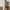 Spaghetti Strap Off Shoulder Ruched Long Sleeve Mini Dress photo 6