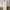 Spaghetti Strap Off Shoulder Ruched Long Sleeve Mini Dress photo 4