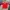 jersey bayern photo 1