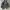 In The Attic Faux Fur Hooded Strap Buckles Black Faded Cordu photo 1