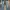 TRUE RELIGION BIG SIZE JEANS photo 2