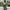 TRUE RELIGION BIG SIZE JEANS photo 7