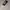 Reebok Basic Logo Hoodie photo 4