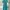 Dress Brokat Biru Tosca photo 2