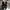 converse all star fire high photo 4