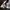 converse all star fire high photo 1