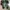 Nike Air Jordan 12 Retro Light Aqua photo 4
