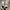 Nike Air Jordan 12 Retro Light Aqua photo 1