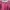 Dress Midi Scuba Maroon photo 5