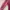 Dress Midi Scuba Maroon photo 3