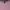 Gap's Y2K Long Sleeve Henley Star Prints Pink Shirt photo 2