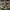 ADIDAS SL 72 ISLAND PACK KALIMANTAN , ADIDAS SL 72 KALIMANTA photo 3