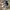 Nike Air Jordan Mid Exploration 100% Authentic 
