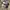 Nike air jordan mid exploration 100% authentic  photo 4