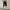 Hushush Japanese Black Washed Jorts photo 1