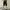 Hushush Japanese Black Washed Jorts photo 3