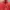 THE NORTH FACE RED POINT LIGHT JACKET photo 2