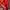 THE NORTH FACE RED POINT LIGHT JACKET photo 6
