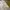 Rok satin cream photo 3