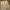 Rok satin cream photo 1